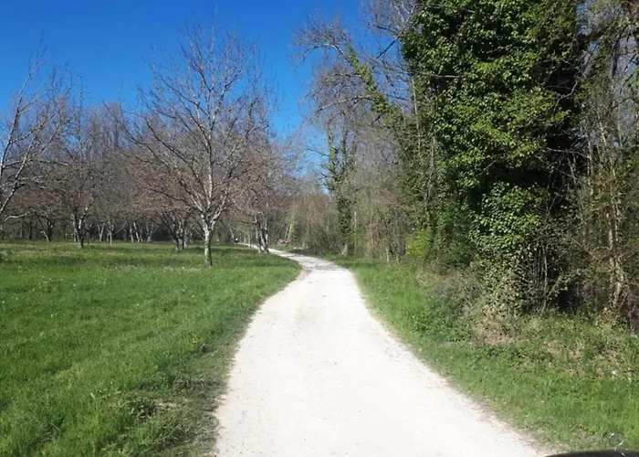 Maison De Le Tilleul